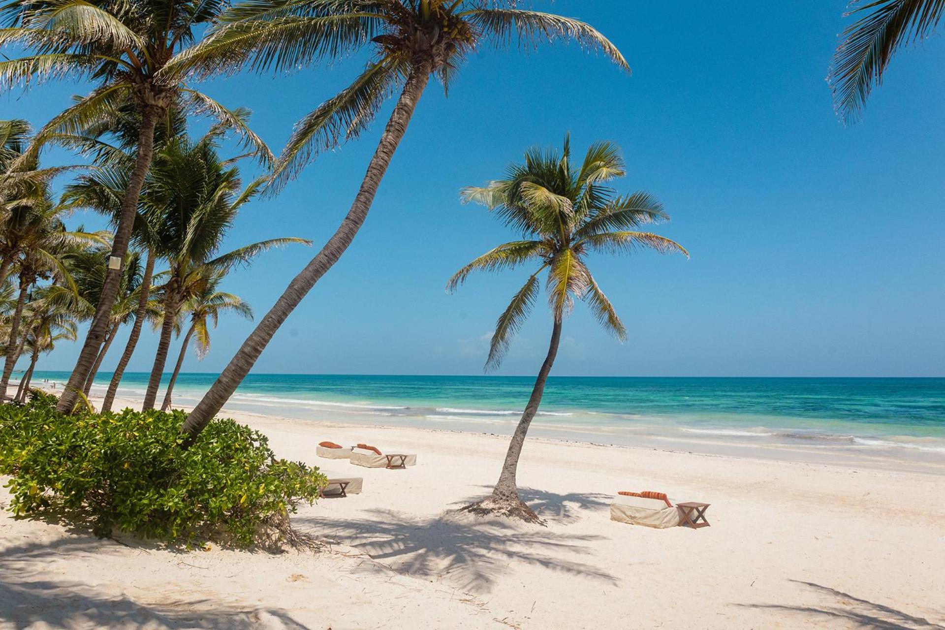 The Beach Tulum Hotel Bagian luar foto