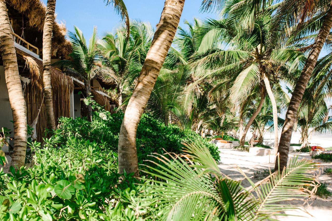 The Beach Tulum Hotel Bagian luar foto